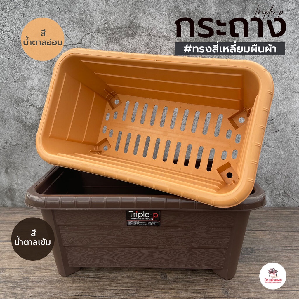 กระถางทรงสี่เหลี่ยมผืนผ้า Triple-p #898 กระถางทรงยาวปลูกผักสวนครัว กระถางพลาสติก แคคตัส ไม้อวบน้ำ Cactus&Succulent