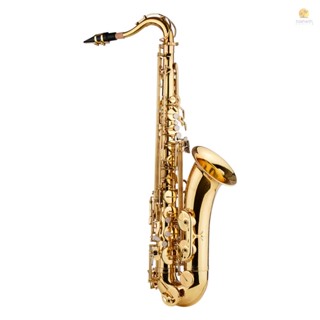 Tosw) Bb Tenor Saxophone เครื่องเป่าลม ทองเหลือง พร้อมกระเป๋าเก็บ ผ้าทําความสะอาด แปรง สายคล้องคอ