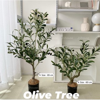 [พร้อมส่ง] ต้นมะกอกปลอม (Artificial Olive Tree) ต้นไม้ปลอมตกแต่ง