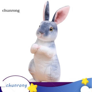 Chunrong หมอนตุ๊กตากระต่ายอีสเตอร์ แบบนิ่ม สําหรับตกแต่งโซฟา