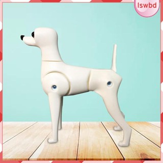 [lswbd] หุ่นจําลอง โมเดลโครงกระดูก สําหรับสัตว์เลี้ยง สุนัข