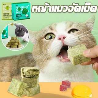 【พร้อมส่ง】หญ้าแมวอัดเม็ด ขนมสัตว์เลี้ยง ขนมแมว กำจัดขนลูกแมว ห่อแยก