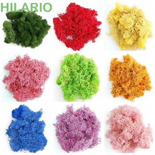 Hilario มอสหญ้าเทียม DIY สีเขียว สําหรับตกแต่งบ้าน ห้องนั่งเล่น