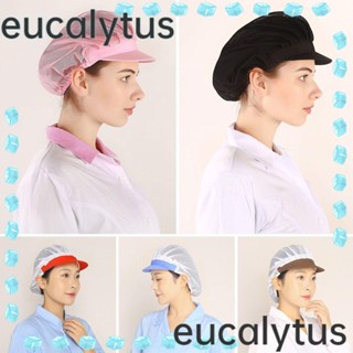 Eucalytus1 หมวกทํางาน กันฝุ่น ระบายอากาศ สุขอนามัย สําหรับทําอาหาร โรงแรม