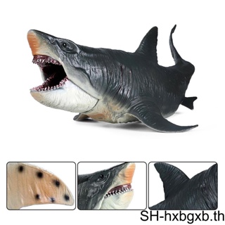 โมเดลฟิกเกอร์ รูปปลาฉลาม Megalodon ของเล่นเสริมการเรียนรู้ สําหรับเด็กผู้ชาย 1 2 3 5