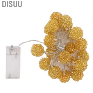 Disuu Light String Innovative Iron Wire Round Ball String Lights  Operat