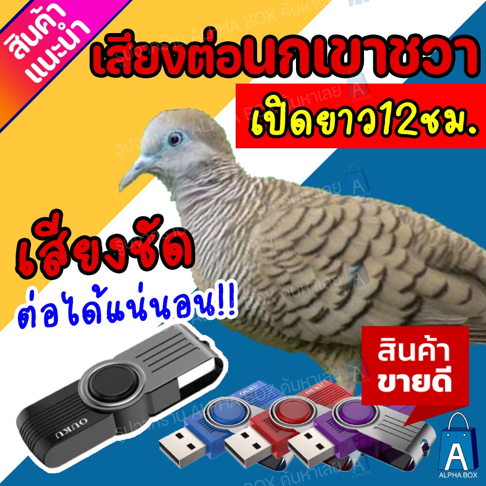 เสียงต่อนกเขาชวา แฟลชไดร์ฟเสียงต่อนกเขาชวา ต่อได้ผลแน่นอน เปิดยาวได้ทั้งคืน [ALPHA BOX]
