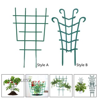 [Dolity2] โครงไม้เลื้อย ขนาดเล็ก สําหรับกระถางต้นไม้ ในร่ม DIY