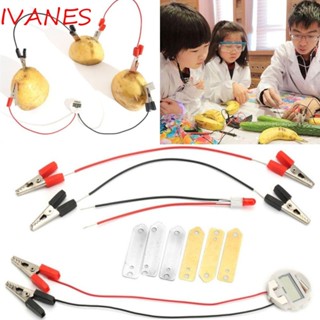 IVANES ชุดทดลองในชั้นเรียน มันฝรั่งชีววิทยาศาสตร์ ฟิสิกส์พลังงาน