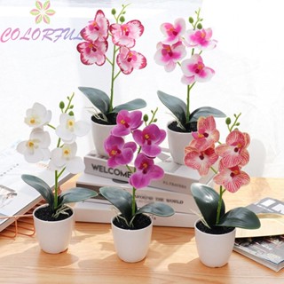 【COLORFUL】Artificial Orchid Pink Plus White Rose White White Plus Rose Decorative Orchid