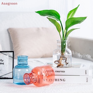 [Asegreen] แจกันกระถางต้นไม้ พลาสติก ไร้ดิน สําหรับตกแต่งบ้าน สวน โต๊ะ 1 ชิ้น