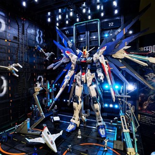 โมเดลหุ่นยนต์กันดั้ม HG Freedom mg Red Heresy Robot Freedom Up to 2.0 สินค้าใหม่