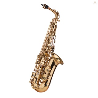 Fw Eb Alto Saxophone เครื่องดนตรีอัลโตแซกโซโฟน ทองเหลือง 802 คีย์ พร้อมเบาะรอง สําหรับทําความสะอาด