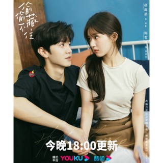 DVD ดีวีดี แอบรักให้เธอรู้ (2023) Hidden Love [25 ตอนจบ] (เสียง ไทย/จีน| ซับ ไทย/อังกฤษ/จีน) DVD ดีวีดี