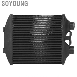 Soyoung Replacement Intercooler Front Mount Aluminium Radiator Fit for Seat Ibiz/Supra/Fibia/MK4 1.9 TDI