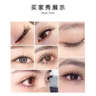[0.07 L LJ LB LC LD] Fox Series Camellia ขนตาปลอม รูปตัว L ไม่หลวม ขนตางอน ร้านขนตาสวยงาม สไตล์จีน