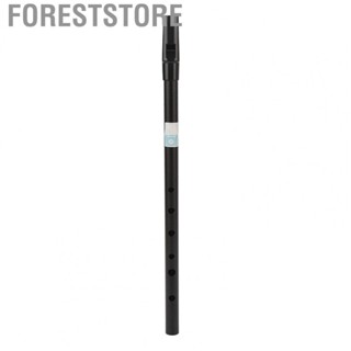 Foreststore D Tin Whistle  Easy Tuning Precise Holes Irish Penny Whistle  for Performances