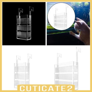 [Cuticate2] กล่องเพาะพันธุ์ปลาหางนกยูง อะคริลิคใส ขนาดเล็ก สําหรับเด็ก