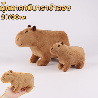 พร้อมส่ง ตุ๊กตาคาปิบาราจําลอง คาปิบารา ตุ๊กตาสัตว์ 20/30cm ของเล่น ของขวัญวันเกิด สําหรับเด็ก