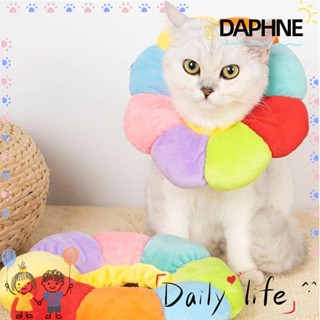 DAPHNE ปลอกคอ รูปกรวยน่ารัก ขนาดเล็ก สําหรับสัตว์เลี้ยง สุนัข แมว