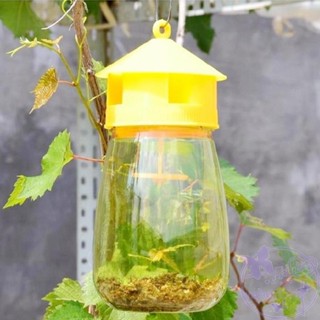 กับดักแมลงวัน ผลไม้ สีเหลือง ทนทาน สําหรับแขวนในวันวาเลนไทน์