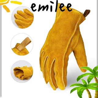 EMILEE ถุงมือหนัง กันลื่น ระบายอากาศได้ดี เหมาะกับฤดูใบไม้ร่วง และฤดูหนาว สําหรับผู้ชาย