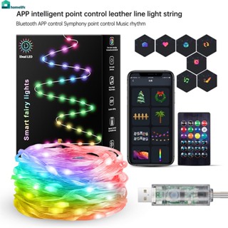 5เมตร/10เมตร/20เมตรคริสต์มาส RGB ไฟสตริงสมาร์ท APP การควบคุมระยะไกลสวนบ้านไฟตกแต่งบ้าน home