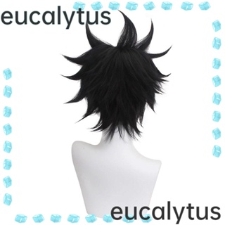 Eucalytus1 วิกผมสั้น ลายการ์ตูนอนิเมะ Fuheihui แฟชั่น