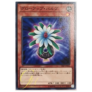 [18SP-JP302] Glow-Up Bulb (Common)