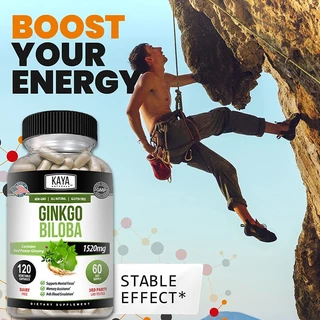 บำรุงสมอง สารสกัดจากใบแป๊ะก๊วย Ginkgo Biloba 1520 mg Capsules เสริมสร้าง ความจำสมอง บำรุงสมาธิ