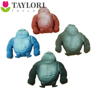 Taylor1 ของเล่นตุ๊กตาลิง ยืดหยุ่น คลายเครียด แบบนิ่ม