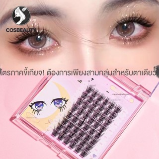 COSBEAUTY การ์ตูนขี้เกียจไตรภาคขนตาปลอมธรรมชาติซุปเปอร์เทอร์โบพัดลมขนหางปลาต่อขนตานางฟ้ามือใหม่