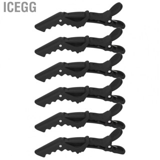 Icegg Crocodilian Hair   ABS Large Grip Black  Slip Hair Sectioning   for Salon