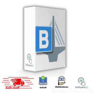 CSiBridge Advanced with Rating 24