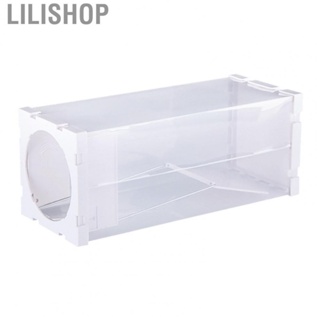 Lilishop Rat Catcher Cage  Compact Small White Transparent Mousetrap Sensitive Pedal  for Home