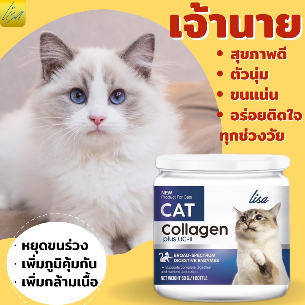 11.11 ส่งฟรี ซื้อเยอะลดอีก #Lisa คลอลาเจน #อาหารเสริมแมว ผงคลอลาเจน ผงไข่เต่า #อาหารแมว เผื่อสุขภาพ บำรุงขนสวยตัวแน่น