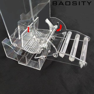 [Baosity] เครื่องให้อาหารนกแก้วอัตโนมัติ แบบแขวน สําหรับนกค็อกคาเทล ขนาดเล็ก กลาง