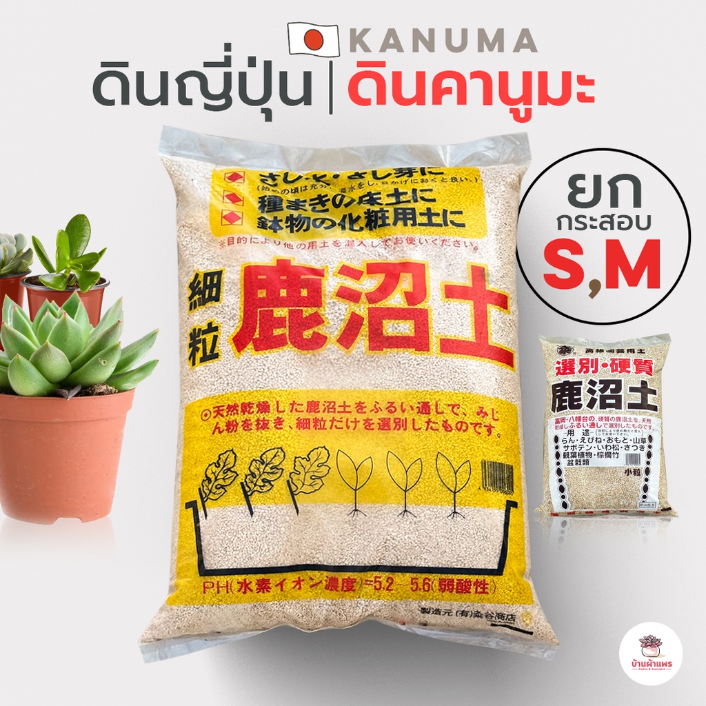 [ ยกกระสอบ ] ดินคานูมะ Kanuma ดินญี่ปุ่น ส่วนผสมดินปลูกแคคตัส&ไม้อวบน้ำ – โปรปัง