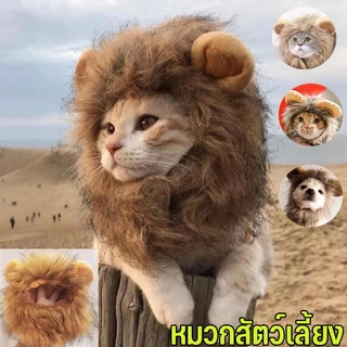 หมวกแมว หมวกสัตว์เลี้ยง วิกผมแมวน่ารัก รูปร่างสิงโต อุปกรณ์ปาร์ตี้แฟนซ