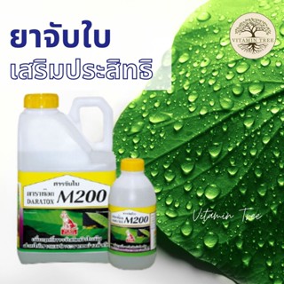 ยาจับใบ สารเพิ่มประสิทธิภาพในการจับติดผิวใบ ดาราท๊อก M200 ขนาด 1 ลิตร