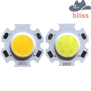 Bliss ไฟฉาย LED COB พลังงานสูง สําหรับติดเพดาน