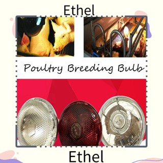 Ethel1 หลอดไฟอินฟราเรด 250W กันน้ํา กันระเบิด สีแดง สําหรับฟาร์มสุนัข ไก่