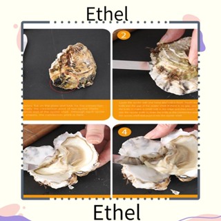 Ethel1 ที่เปิดเปลือกหอย เหล็กคาร์บอน สไตล์สวรรค์ สําหรับแกะเปลือกหอย อาหารทะเล หอยเชลล์