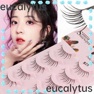 Eucalytus1 ขนตาปลอมไฟเบอร์ เพิ่มความยาวขนตา สําหรับผู้หญิง