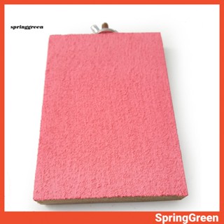 (SPRINGGREEN) ของเล่นแพลตฟอร์มสปริงบอร์ด สําหรับสัตว์เลี้ยง นก กระรอก