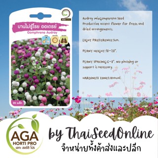 AGAPREMIUM บานไม่รู้โรย ออเดรย์ 20เมล็ด ตราเอกะอะโกร Gomphrena