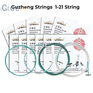 ⭐2023 ⭐Guzheng Musical Instruments Parts Professional Replacement Wire + Nylon