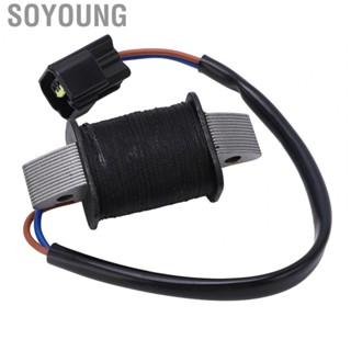 Soyoung Outboard Engine Charge Coil  Outboard Charge Coil Lasting Performance Great Conductivity Direct Replacement Heat Resistant  for Outboard Engine