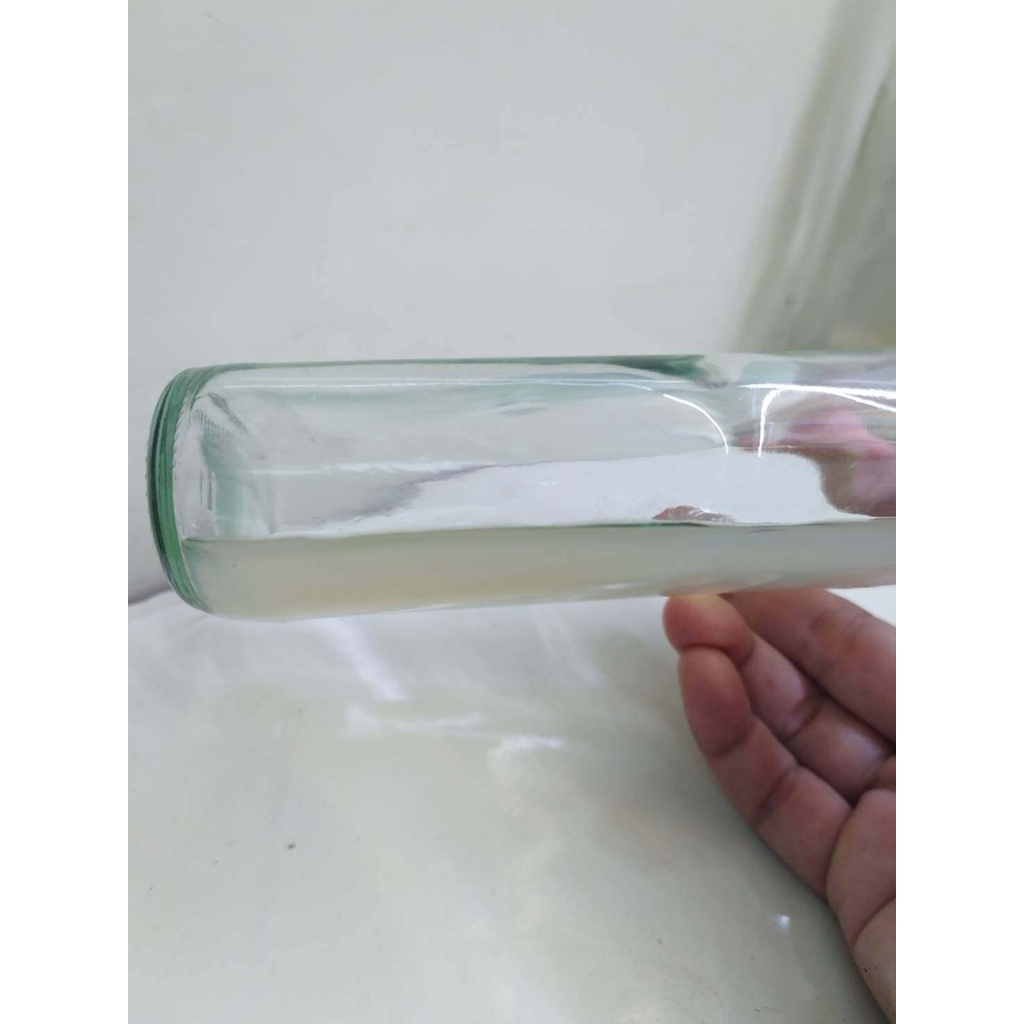 วุ้น PDA (POTATO DEXTROSE AGAR) นึ่งฆ่าเชื้อแล้วพร้อมใช้’ สำหรับเพาะเชื้อเห็ดหรือเชื้อรา #PDA #วุ่น PDA #เชื้อเห็ด ราคา ถูกที่สุด ดีลบีเคเค แกลเลอรีภาพที่ 3