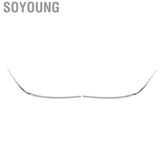 Soyoung Front Bumper Outer Molding Trim  Left Right 2218850121 for S350 S400 S550